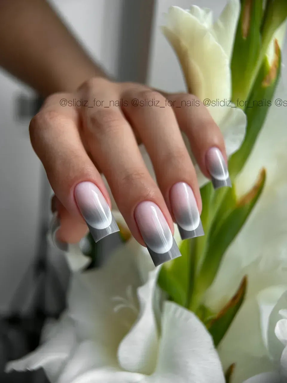 SLIDIZ Slider Diseños #235