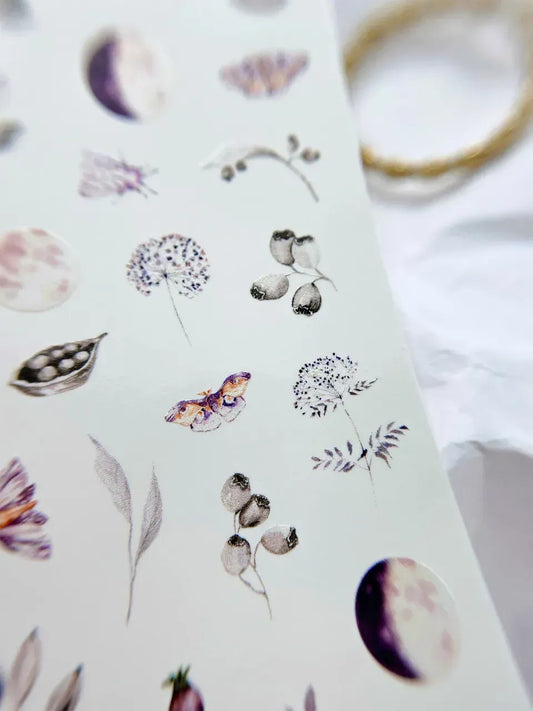 SLIDIZ Slider Diseños #081