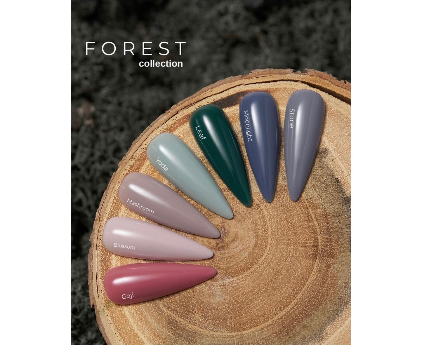 <tc>HELLO Tint base MOONLIGHT. Forest collection</tc>