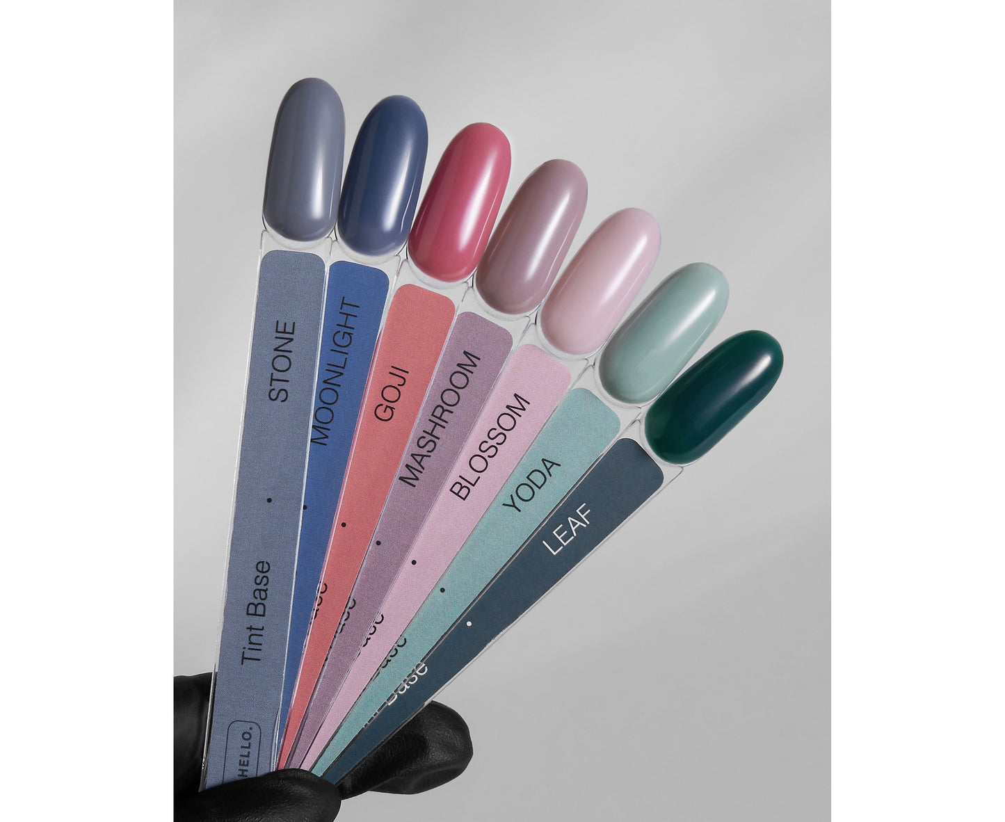 <tc>HELLO Tint base STONE. Forest collection</tc>