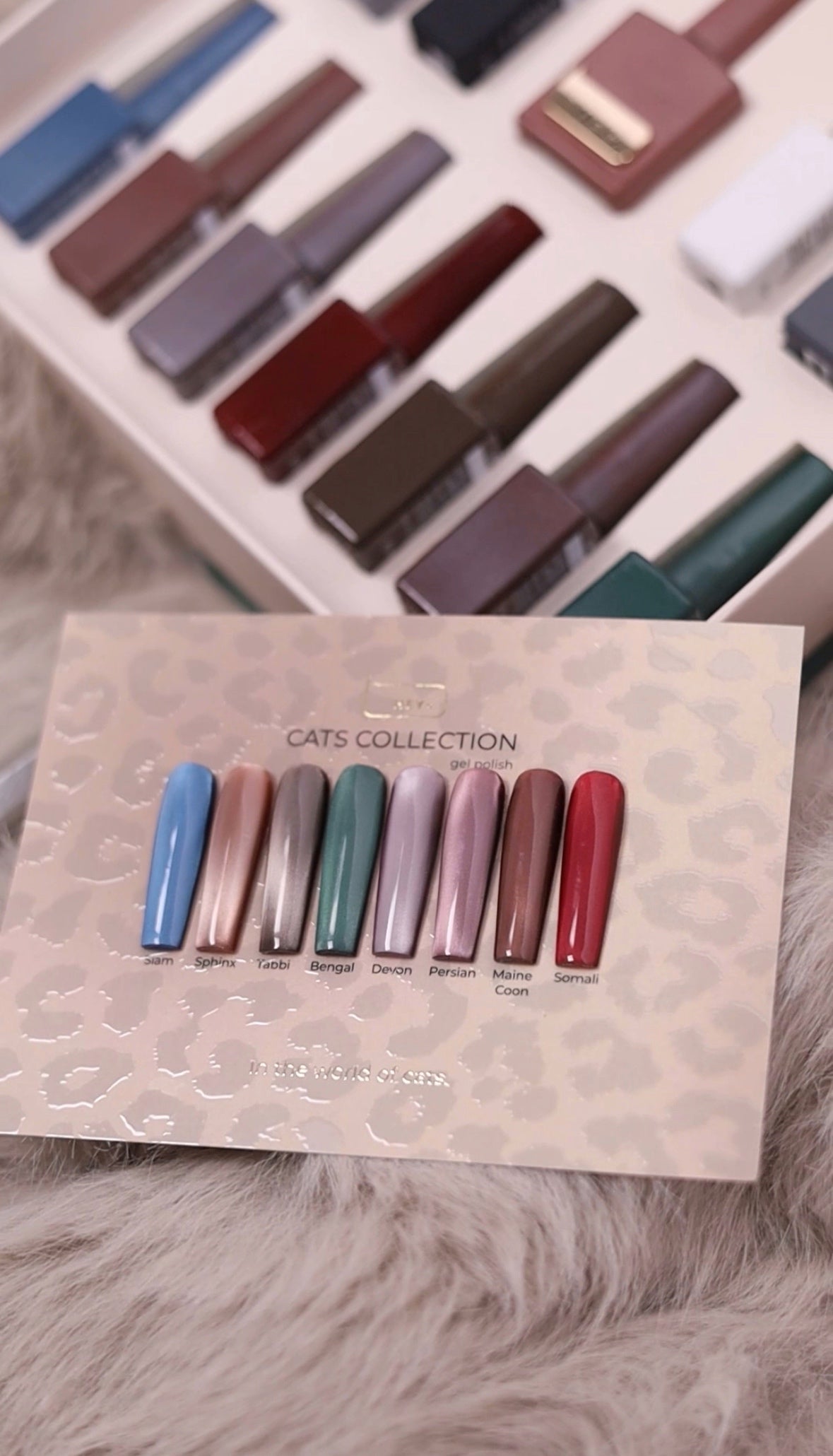 HEYLOVE Semi-Permanent Cat's Eye Polish DEVON