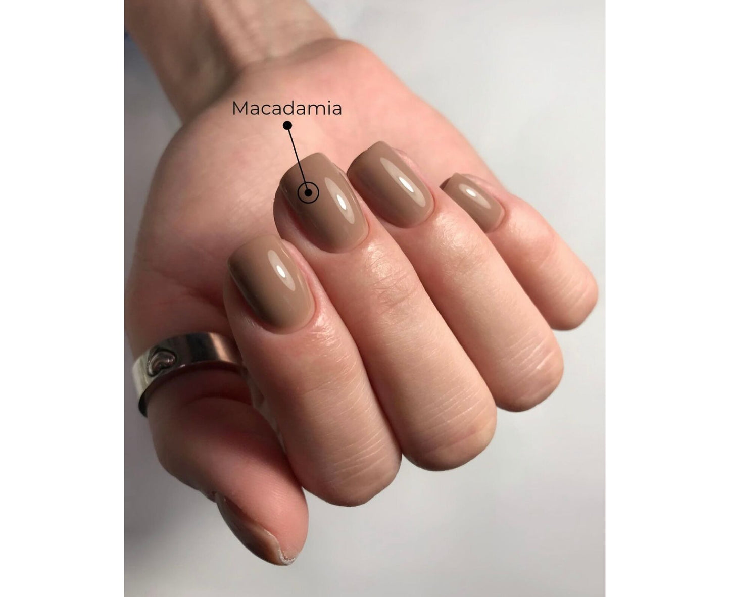 <tc>HELLO Tint base MACADAMIA. Lifestyle collection</tc>