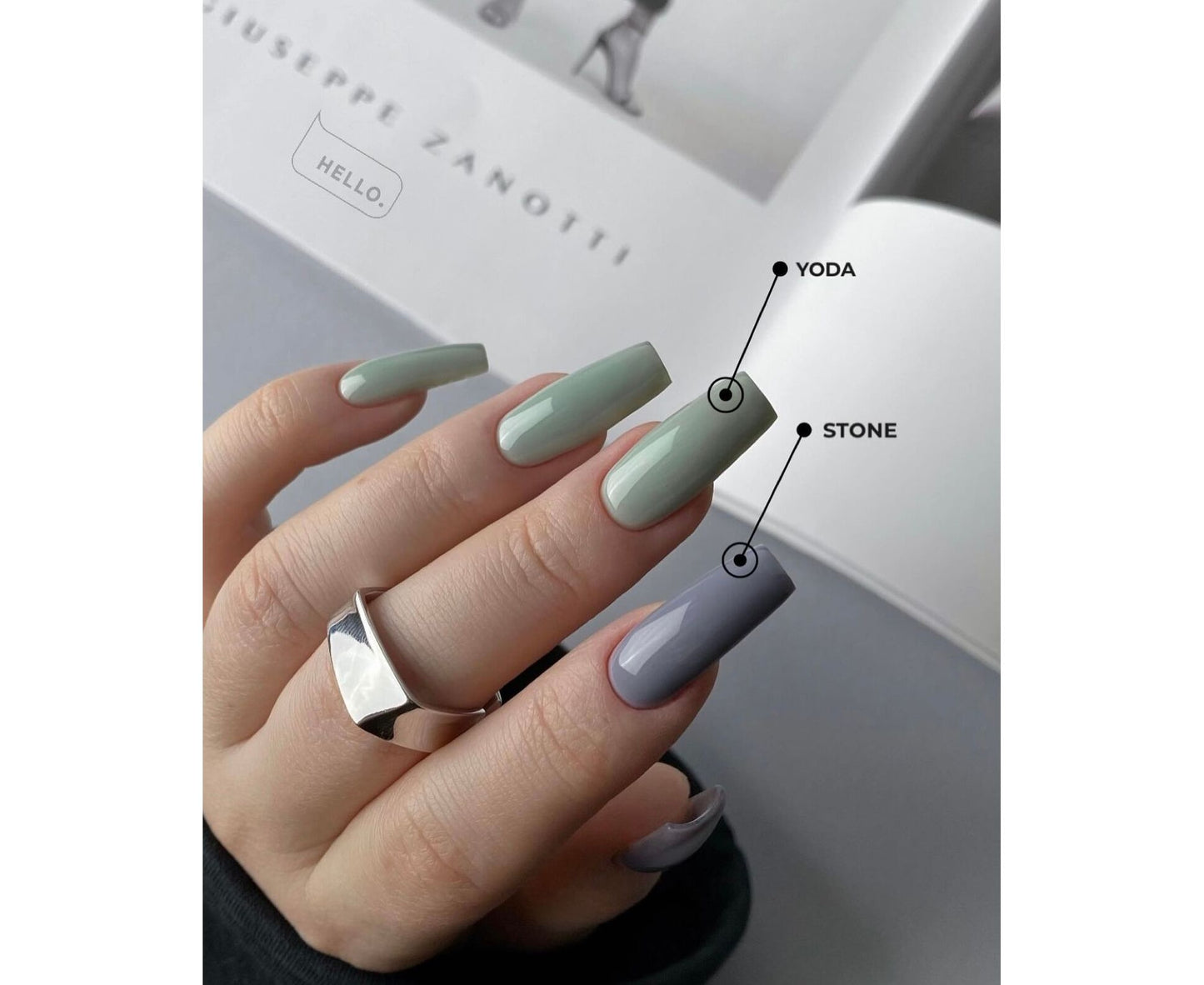<tc>HELLO Tint base STONE. Forest collection</tc>