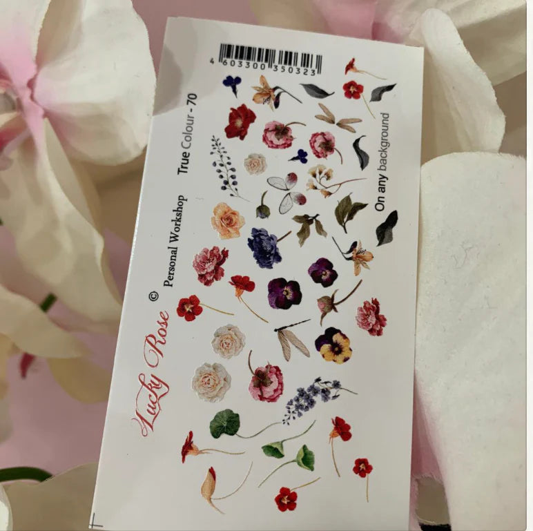 Lucky Rose 70
