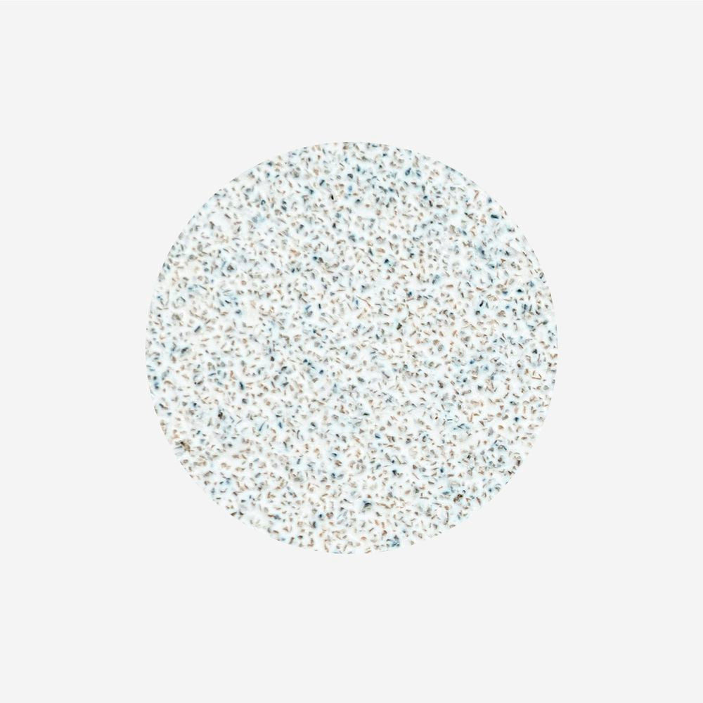 Recambios desechables con espuma para Podo Disco. 50 ud.