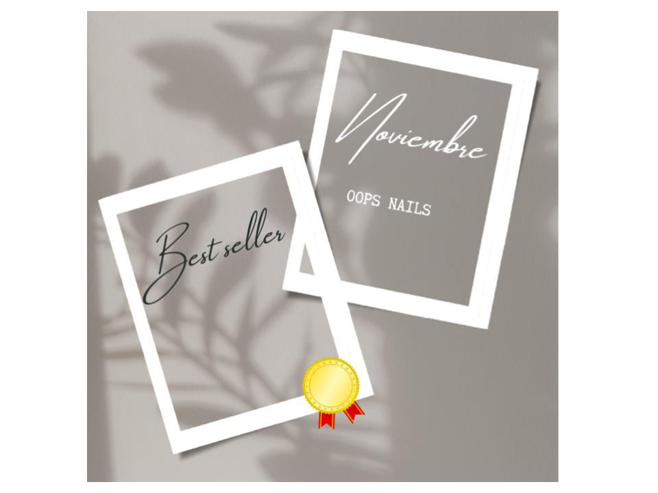 TOP VENTAS DE NOVIEMBRE