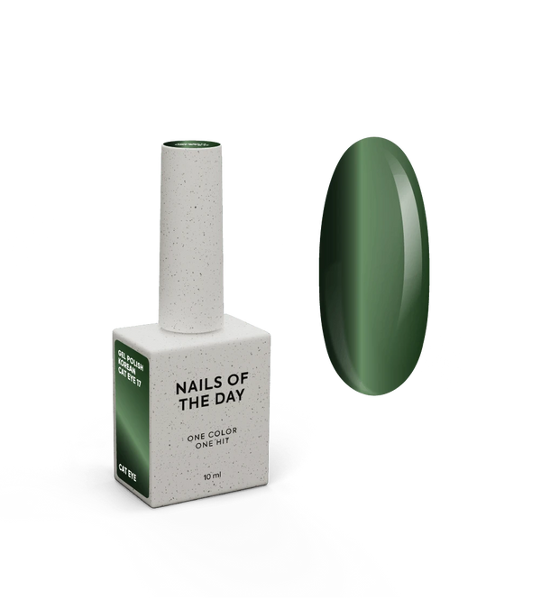 NAILSOFTHEDAY Gel Polish Korean Cat Eye #17