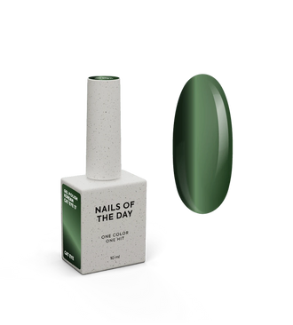 NAILSOFTHEDAY Gel Polish Korean Cat Eye #17