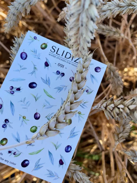 Modèles de curseurs SLIDIZ #091