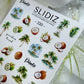 SLIDIZ Slider Diseños #320