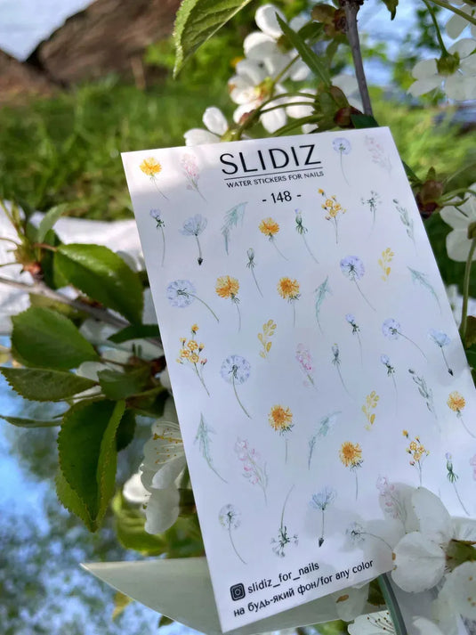 Modèles de curseurs SLIDIZ n° 148