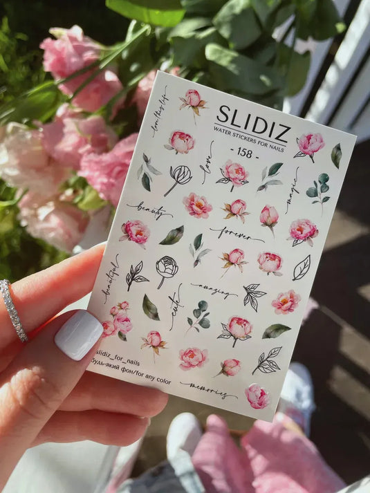 Modèles de curseurs SLIDIZ n° 158