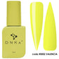 DNKa™ Cover Top. #0002 Valencie