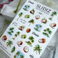 SLIDIZ Slider Diseños #320