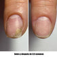 NAILSOFTHEDAY ONISTOP