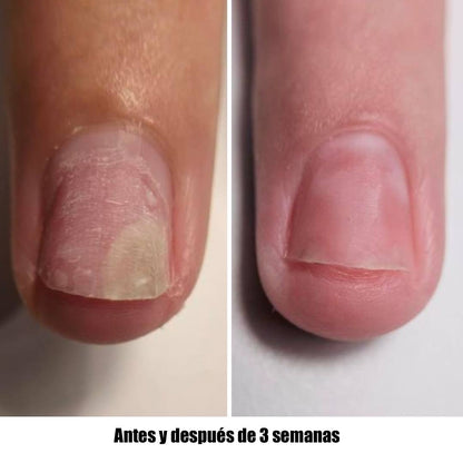 NAILSOFTHEDAY ONISTOP