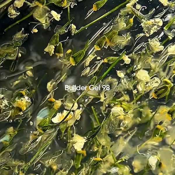 NAILSOFTHEDAY Builder Gel #98