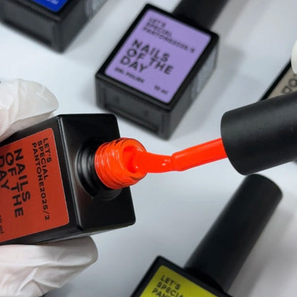 NAILSOFTHEDAY Gel Polish Let’s special Pantone #2