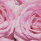 Crema de pies con aceite de rosas y urea (ROSENCREM)