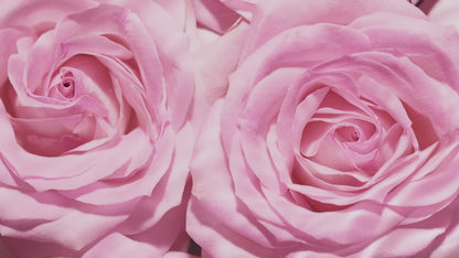 Crema de pies con aceite de rosas y urea (ROSENCREM)