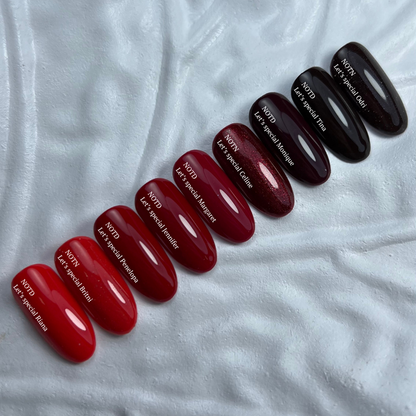 Vernis gel réfléchissant NAILSOFTHENIGHT. Laissez-nous vous présenter Odri spécial