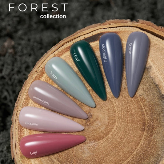 Kit HEYLOVE · Tint Base · FOREST colección